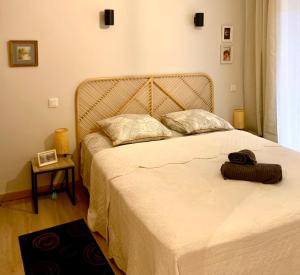 马赛JoliJoliette, terrasse, central, climatisé, WIFI , garage的一间卧室配有一张大床和两条毛巾