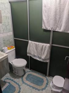布卢梅瑙CASA PARA OKTOBERFEST 12 PESSOAS.的一间带卫生间和淋浴的浴室