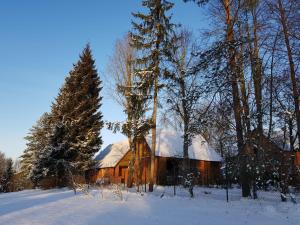 JaunjelgavaBrīviņi的雪中树木林立的木制谷仓