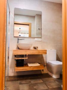 奥尔瓦伊特塞塔Apartamentos Zabalarena Artzaia的一间带水槽和卫生间的浴室