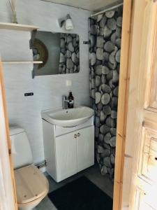 韦克舍Fint sjönära annex的一间带水槽和卫生间的小浴室