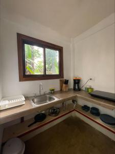 托尔图格罗Casa Jaguar Tortuguero的带水槽的厨房台面和窗户