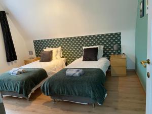 那慕尔La maison du bienvenu的一间卧室配有两张单人床和绿毯