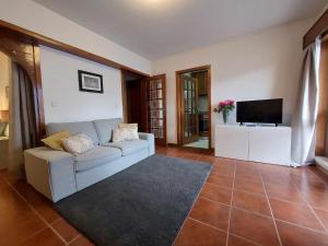 波尔图Vale Formoso Apartment的带沙发和电视的客厅
