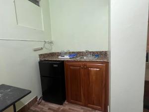 蒙特哥贝Castlevue B&B的一间带水槽和洗碗机的小厨房