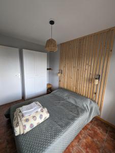 丰罗默奥代洛维亚Charmant appartement centre ville de Font-Romeu, vue montagne的一间卧室配有一张带枕头的床