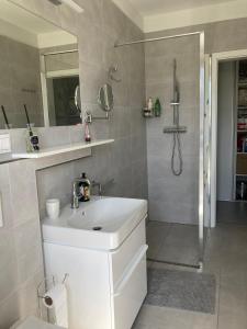 鲁容贝罗克Casa de Svana Liptov的浴室配有白色水槽和淋浴。