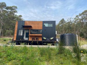 South BrunyAdina Tiny House Bruny Island的坐在田野边的小房子