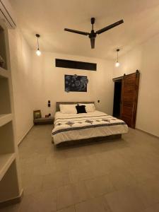 锡瓦塔塔内霍Hostel Flakos的一间卧室配有一张床和吊扇