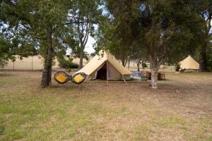 帕克斯Spicer Caravan Park的树田里的帐篷和两把椅子