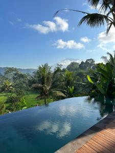 希德门Nana Suites Villa的享有丛林景色的游泳池