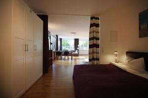 康斯坦茨Konstanzer Ferienwohnungen的一间卧室设有一张床和一间客厅。