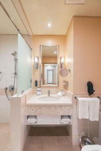 塞拉莱Salalah Gardens Hotel Managed by Safir Hotels & Resorts的一间带大水槽和镜子的浴室