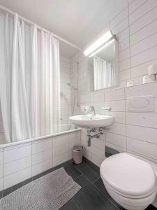 巴塞尔Modern 3-bedroom apartment in city centre的白色的浴室设有卫生间和水槽。
