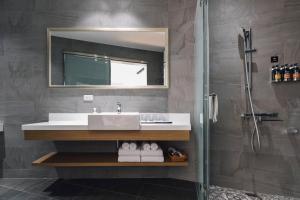 台南鹹菜巷8號的浴室配有盥洗盆和带镜子的淋浴