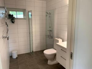 梅尔比斯特兰德Mellby Kite Surf Villa的浴室配有卫生间、淋浴和盥洗盆。