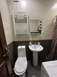 博尔若米Ananiko的一间带卫生间和水槽的小浴室