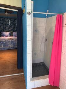 帕皮提A TOMO MAI Homestay的带淋浴和粉红色浴帘的浴室