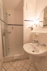 阿豪斯Landhotel Elkemann的白色的浴室设有水槽和淋浴。