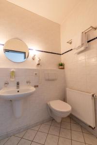 阿豪斯Landhotel Elkemann的一间带水槽、卫生间和镜子的浴室