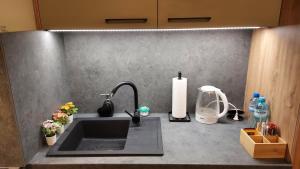 比得哥什Apartament Kallisto的厨房台面上设有水槽和台面