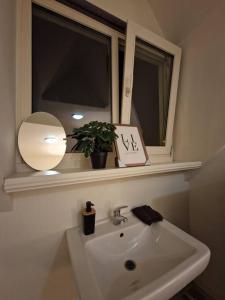 埃因霍温Room 505 - Eindhoven by T&S的一间带水槽的浴室和一个带盆栽的窗户