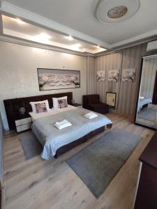 切尔诺夫策Apart Club Tolstogo的一间卧室配有一张大床和一把椅子