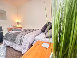 普雷斯顿Moor Park Apartments的一间卧室配有一张床和一张植物桌子