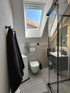 卡尔斯鲁厄Stylisches Apartment in zentraler Lage - mit Klima的一间带卫生间、水槽和窗户的浴室