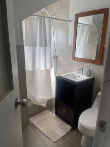 蓬塔阿雷纳斯Hospedaje de la vita的一间带水槽、卫生间和镜子的浴室