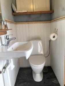 韦姆德Sjöstuga, Archipelago Beach House的浴室配有白色卫生间和盥洗盆。
