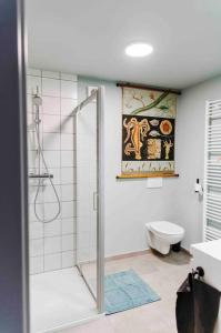 列日L’écrin vintage - Hors Château & Marches de Bueren的带淋浴和卫生间的浴室