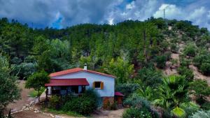 La NavaFinca Casa Charco La Olla的山丘上一座带红色屋顶的小房子