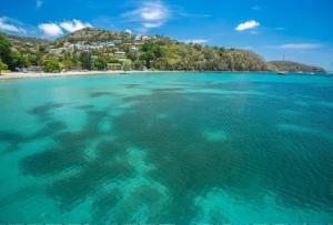 莱特鲁瓦西莱PARADIS TURQUOISE LOCATIONS的享有碧绿海水海滩的空中景致