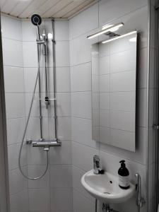 赫尔辛基Top-floor studio, near park & sea, great transit的白色的浴室设有水槽和镜子