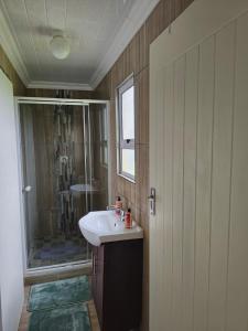 东伦敦Izibusiso Guest room的一间带水槽和淋浴的浴室
