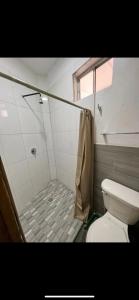 La BarcaHotel Real Briseñas的带淋浴和卫生间的浴室。