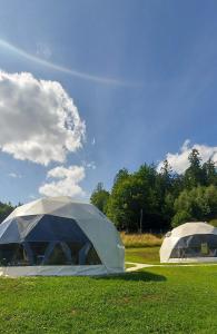 茨兹伊特纳Glamping Bobrowniczki w Kotlinie Kłodzkiej的草场上的两个帐篷