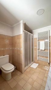 普奇塞达Casa Baronia La Cerdanya的一间带卫生间和淋浴的浴室