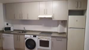 特鲁埃尔La Yecla Teruel的厨房配有白色橱柜和洗衣机。