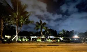 劳德代尔堡The Agustin Guesthouse - Men Only Clothing Optional的夜间有棕榈树的停车场