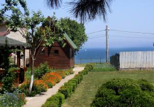 多亚马伊Pensiunea Sapte Pini的一座带房子的花园,背景是大海
