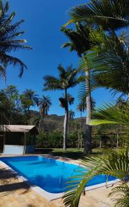 西波山Espaço Vilarejo Pousada的一座种植了棕榈树的蓝色游泳池