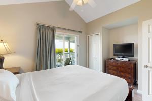 鸭礁岛Reef House的一间卧室配有一张大床和电视