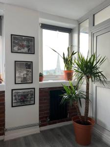 伦敦Amazing view 2 bedroom in Abbey Road的客厅设有壁炉和2种盆栽植物