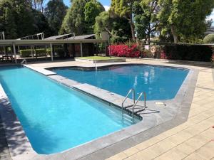 陶朗加Tauranga Homestead Retreat的蓝色海水大型游泳池