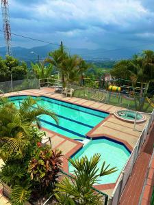 佩雷拉Eco Hotel La Selecta Campestre的棕榈树度假村内的游泳池