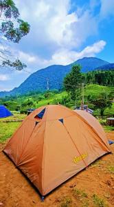 希维德Gunung bangku ciwidey rancabali camp的坐在田野里的橙色帐篷