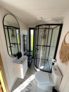 MatīšiPļavas vidū - romantiska brīvdienu māja的浴室设有卫生间、水槽和镜子。