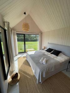 MatīšiPļavas vidū - romantiska brīvdienu māja的一间卧室设有一张床和一个大窗户